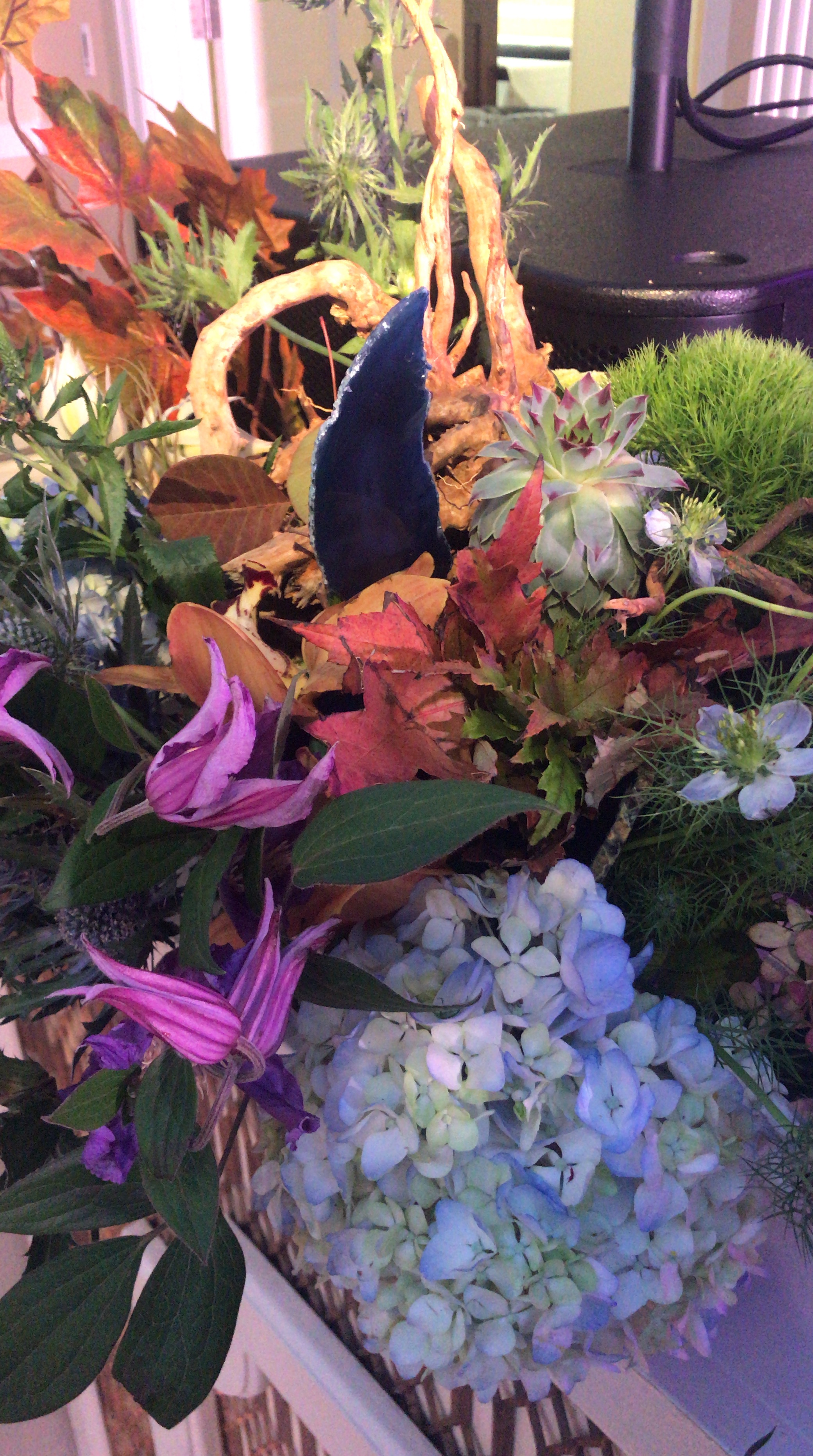 0D4E9247-5D8A-4393-BE42-9BDFBEC247A0