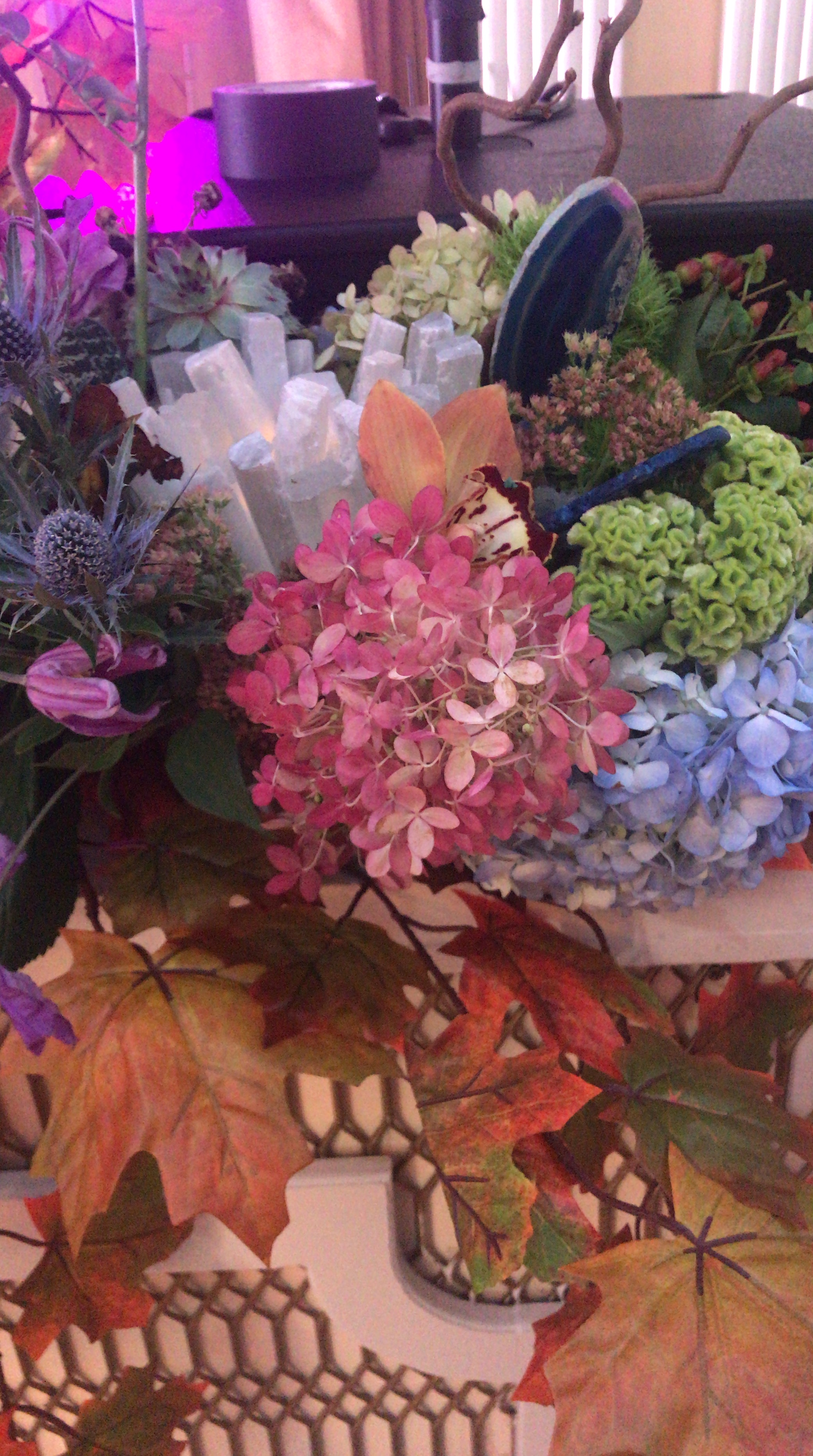 D580B7A9-3CFA-4931-99B2-EA9EF4241099