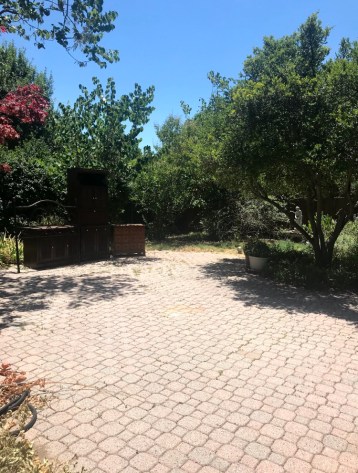 01564921-23B5-4D05-97CF-DCA20BD69250