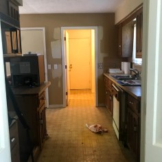 91F72E2A-A917-47A6-B63E-BDA51AE3E3E4