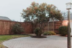 DBB9C5C2-918E-4AB3-9F55-BB04478DFAF3