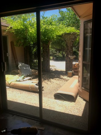 E0942586-9B2F-41A6-8BB6-1E10239E8E00